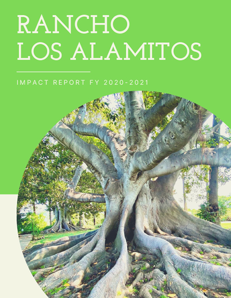 Image of Rancho Los Alamitos Moreton Bay Fig Trees - Imact Report for FY 2020-2021