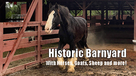 Historic Barnyard with photo of shire horse