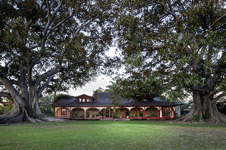 Ranch House Front Lawn
