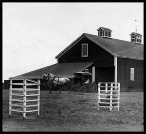 Barn with Horses