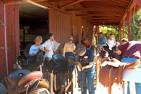 Learning about Saddles and Tack